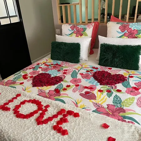 Apartment Romantique Au Coeur Du Avec Jacuzzi Et Sauna Privatif Proche De Toulouse Auterive (Haute-Garonne)