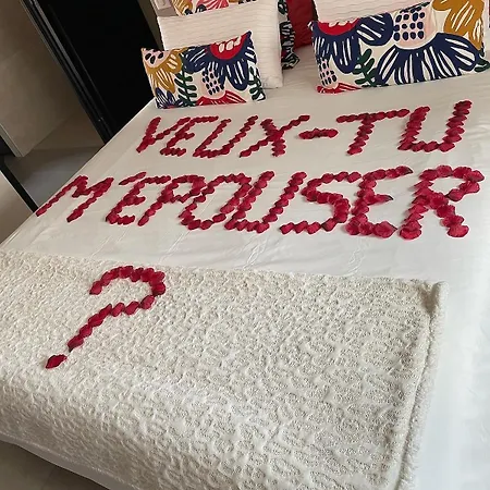 Daire Romantique Au Coeur Du Avec Jacuzzi Et Sauna Privatif Proche De Toulouse *