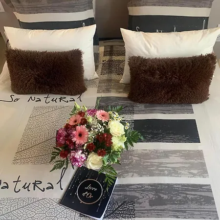 Romantique Au Coeur Du Avec Jacuzzi Et Sauna Privatif Proche De Toulouse